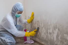 Best Real Estate Mold Inspection  in Laurens, SC